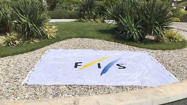  FIS