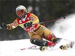 alpine ski
