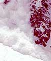 ski