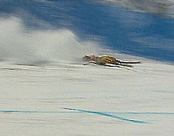 ski
