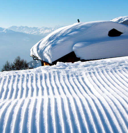 ski