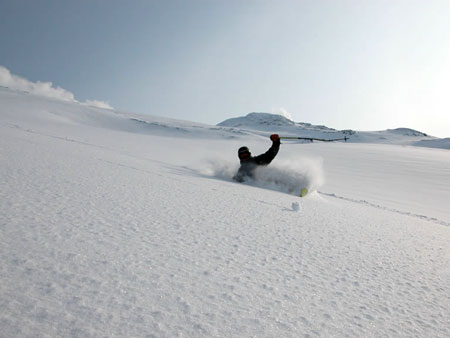 ski