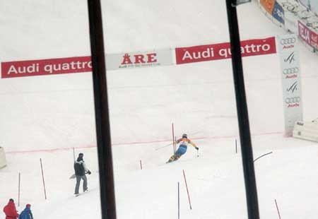 ski