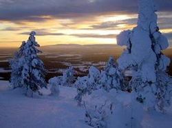 ski