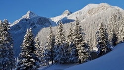ski