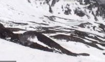 ski