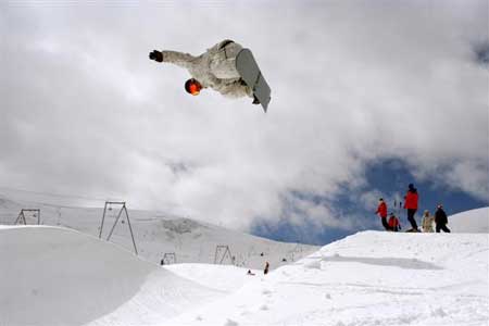boarder