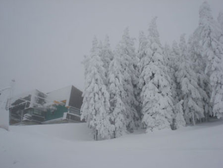 ski