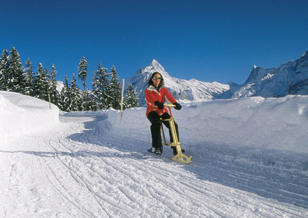 ski