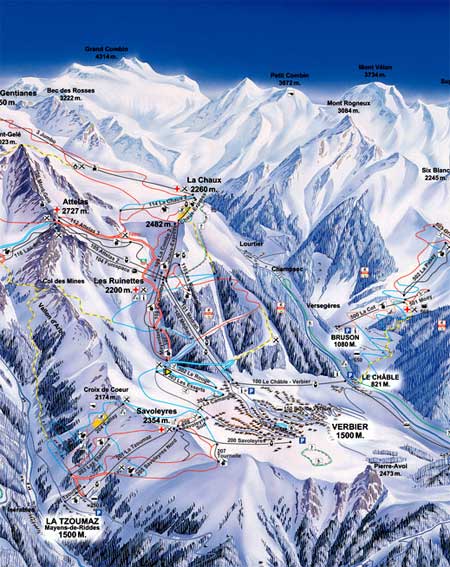 ski