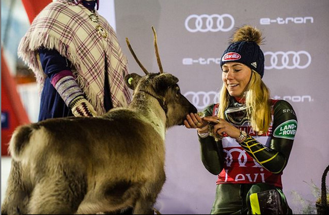 ><br><i>  4    </i><p>
<p>
                  . 
<p>
<a href=http://superski.ru/adm/show.php?news_id=4812 target=