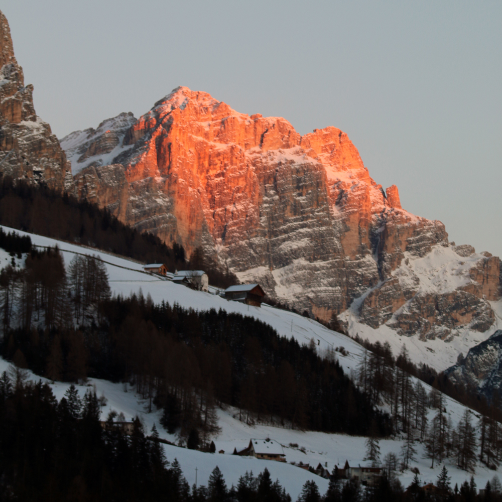 ����� ����