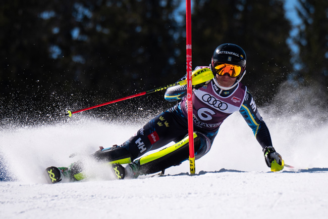 ����� ����