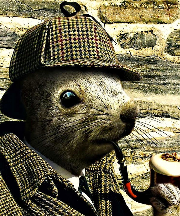 sherlock